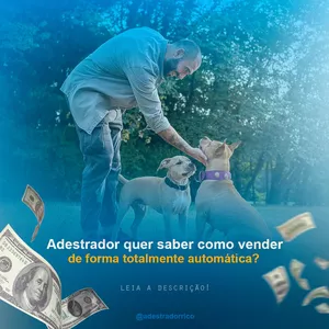 Transforme Sua Carreira com o Curso “Adestrador Rico” e Aumente Seus Ganhos para Mais de 10K por Mês