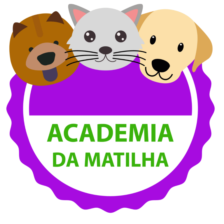 🐾 Como transformar seu Instagram Pet em um perfil profissional com a Academia da Matilha?
