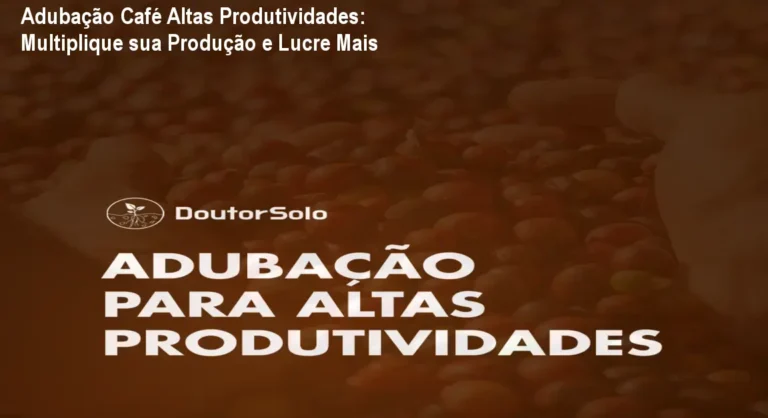 Adubação Café Altas Produtividades: Multiplique sua Produção e Lucre Mais 2 https://cursoss.com.br/endometriose-na-pratica-curso-online/ Produtor analisando perfil de solo avançado após usar Adubação Café Altas Produtividades