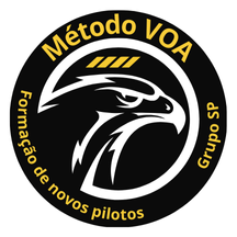 curso de piloto privado online para prova da ANAC