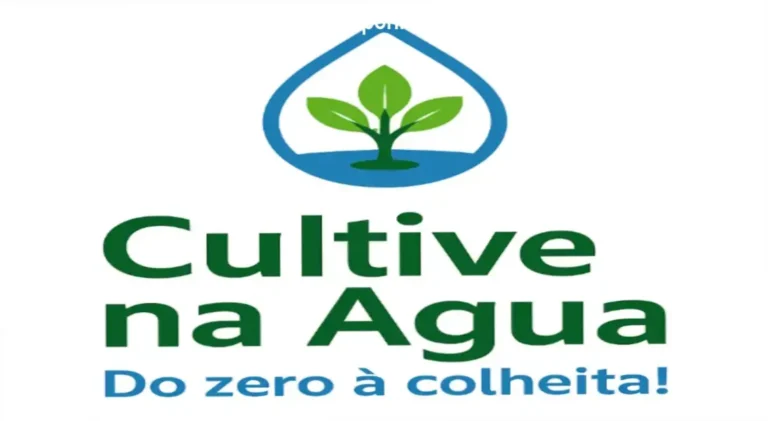 Bruno Palma mostrando uma horta hidropônica caseira pronta para a colheita