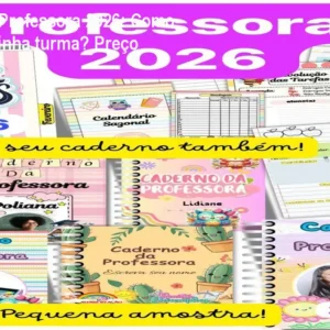 Caderno da Professora 2026: Como organizar minha turma? Preço