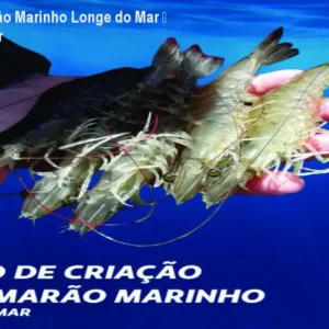 Curso de Camarão Marinho Longe do Mar – Aprenda a Lucrar