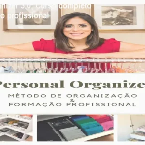 Personal Organizer 3.0: Curso completo de organização profissional
