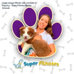 Como educar filhotes sem mordidas e bagunça - Super Filhotes Marina Volanski