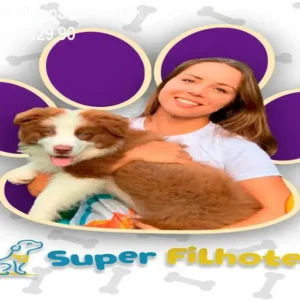 Super Filhotes de Marina Volanski – Curso Prático por R$29,90