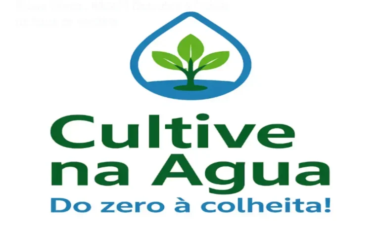 Bruno Palma and the Cultive na Água course: behind the scenes showing hydroponic setup and practical kits