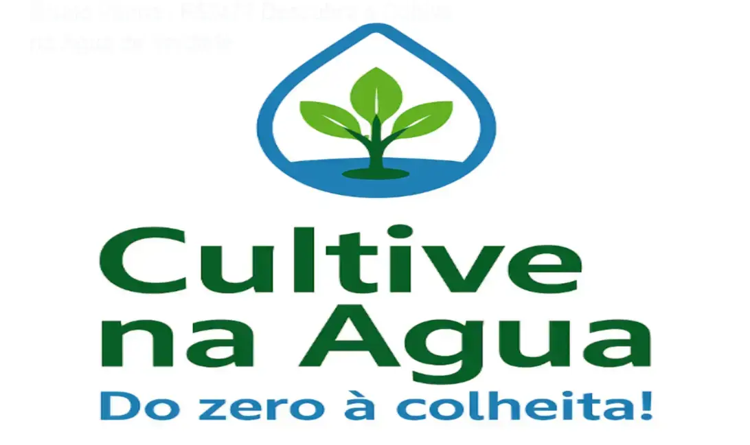 Bruno Palma and the Cultive na Água course: behind the scenes showing hydroponic setup and practical kits