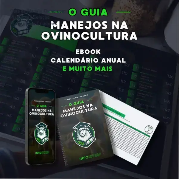 Guia de Manejo Ovino com Planilhas | Solução Prática para Criadores 2 https://cursoss.com.br/natasha-villaschi-como-funciona-natflix-fitness/ Guia de Manejo Ovino com Planilhas Práticas - Tomaz Cavagnari