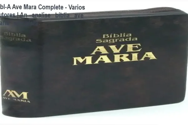 Bbl-A Ave Mara com zarro marrom e capa reich em couro rouge