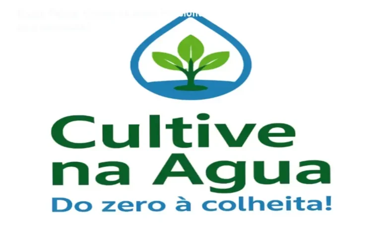 Bastidores do curso Cultive na Água de Bruno Palma mostrando sistema hidropônico doméstico em funcionamento