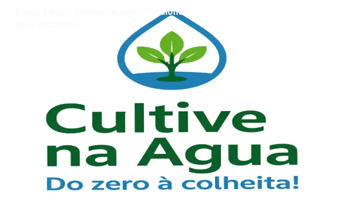 Bastidores do curso Cultive na Água de Bruno Palma mostrando sistema hidropônico doméstico em funcionamento