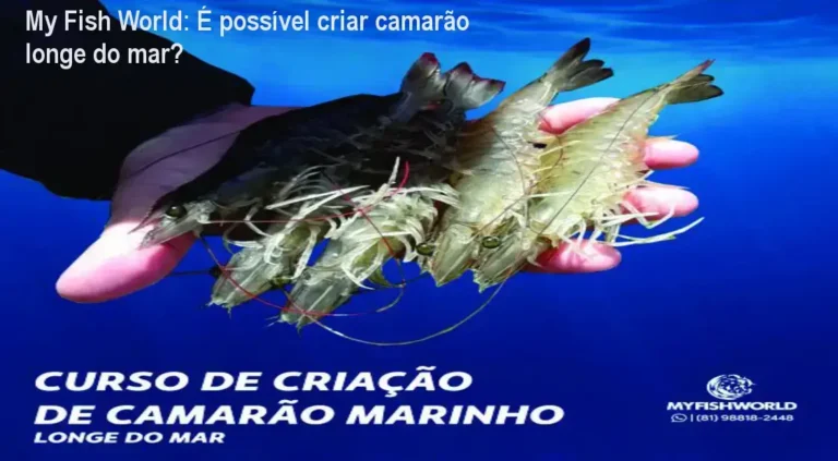 Curso de Criação de Camarão Marinho Longe do Mar da My Fish World: visão interna do treinamento técnico