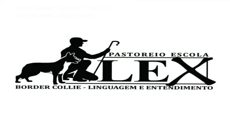 Curso Introdução ao Entendimento do Pastoreio com Border Collie por Leandro Santos - bastidores e funcionamento interno do método de pastoreio