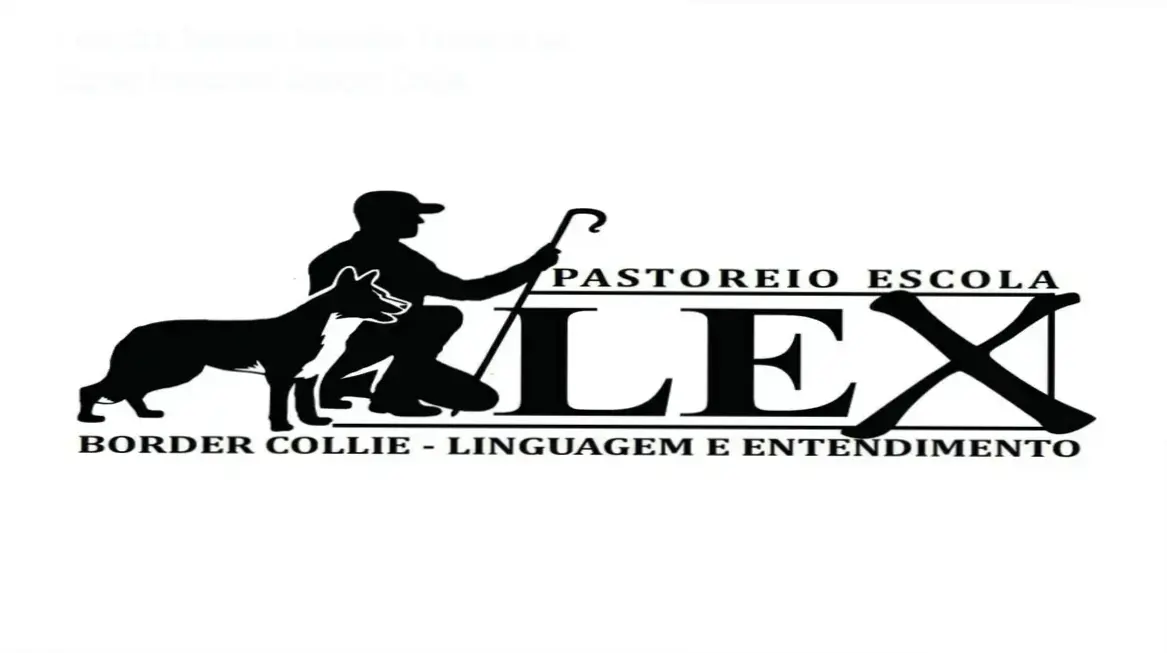 Curso Introdução ao Entendimento do Pastoreio com Border Collie por Leandro Santos - bastidores e funcionamento interno do método de pastoreio