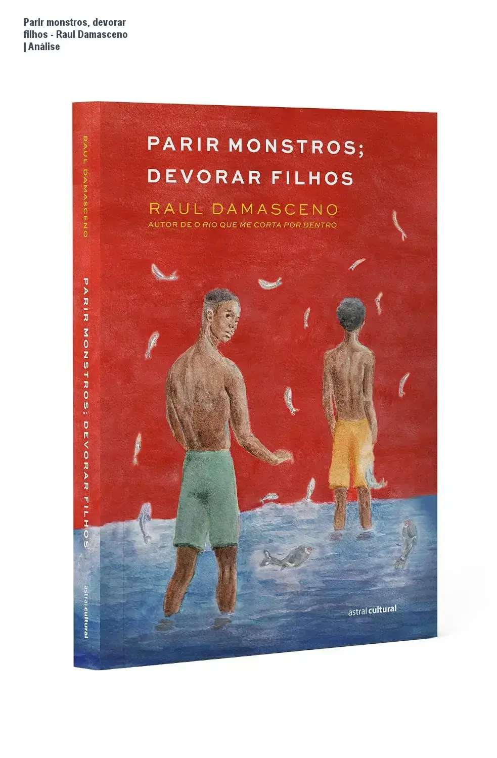 Capa do livro Parir monstros, devorar filhos de Raul Damasceno representando temas de maternidade e drama psicológico