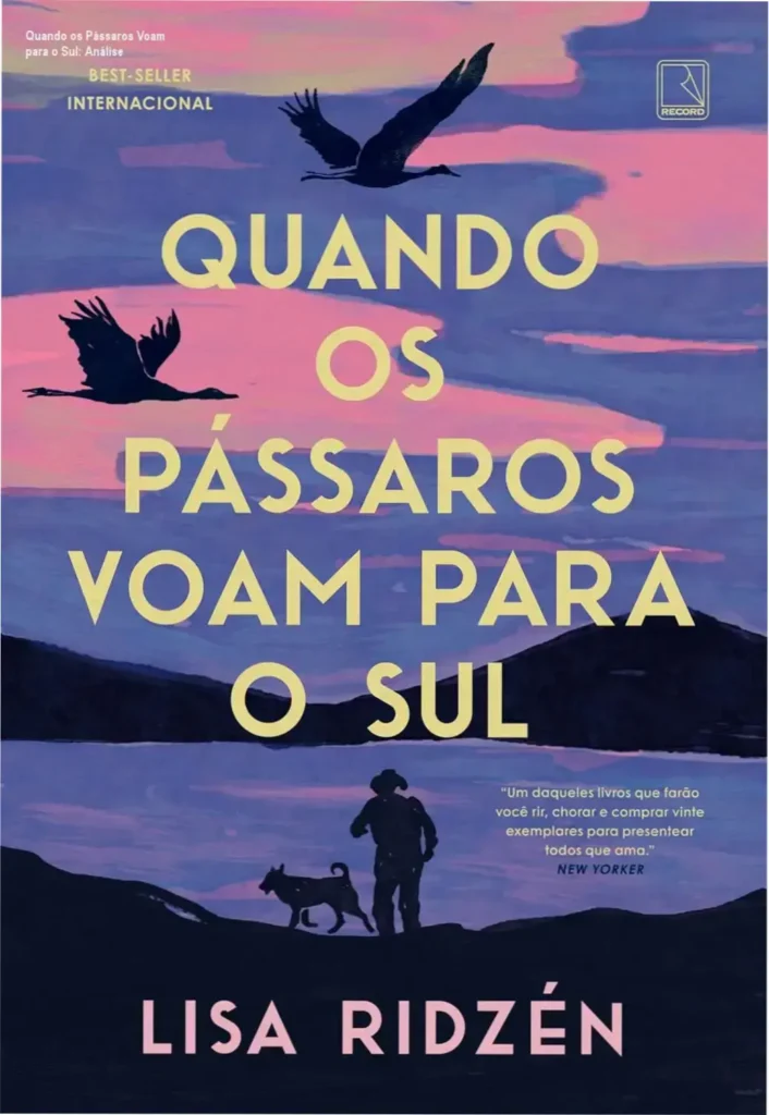 Capa minimalista do livro 'Quando os Pássaros Voam para o Sul' com destaque para o título e autor