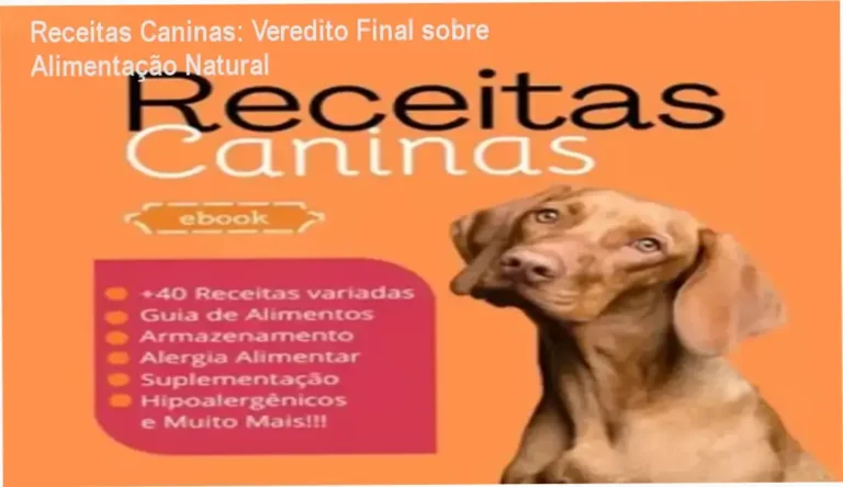 Cão saudável ao lado de tigela com comida natural caseira e guia de receitas