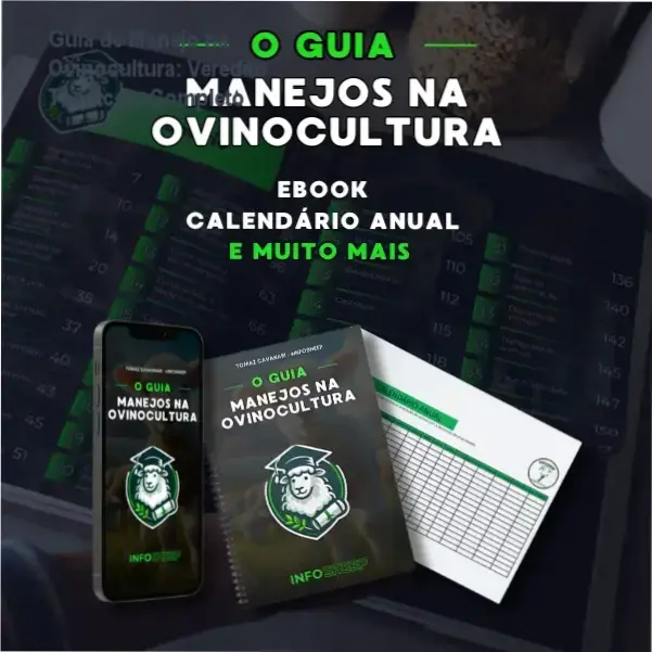 Guia de Manejo na Ovinocultura de Tomaz Cavagnari: visão interna das planilhas de gestão e e-book