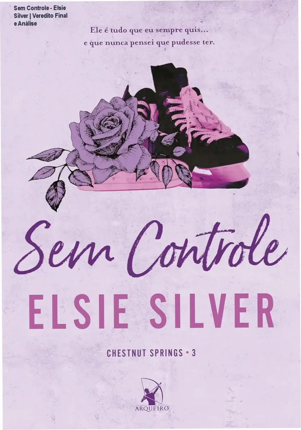 Capa do livro Sem Controle de Elsie Silver com elementos visuais de gelo e campo